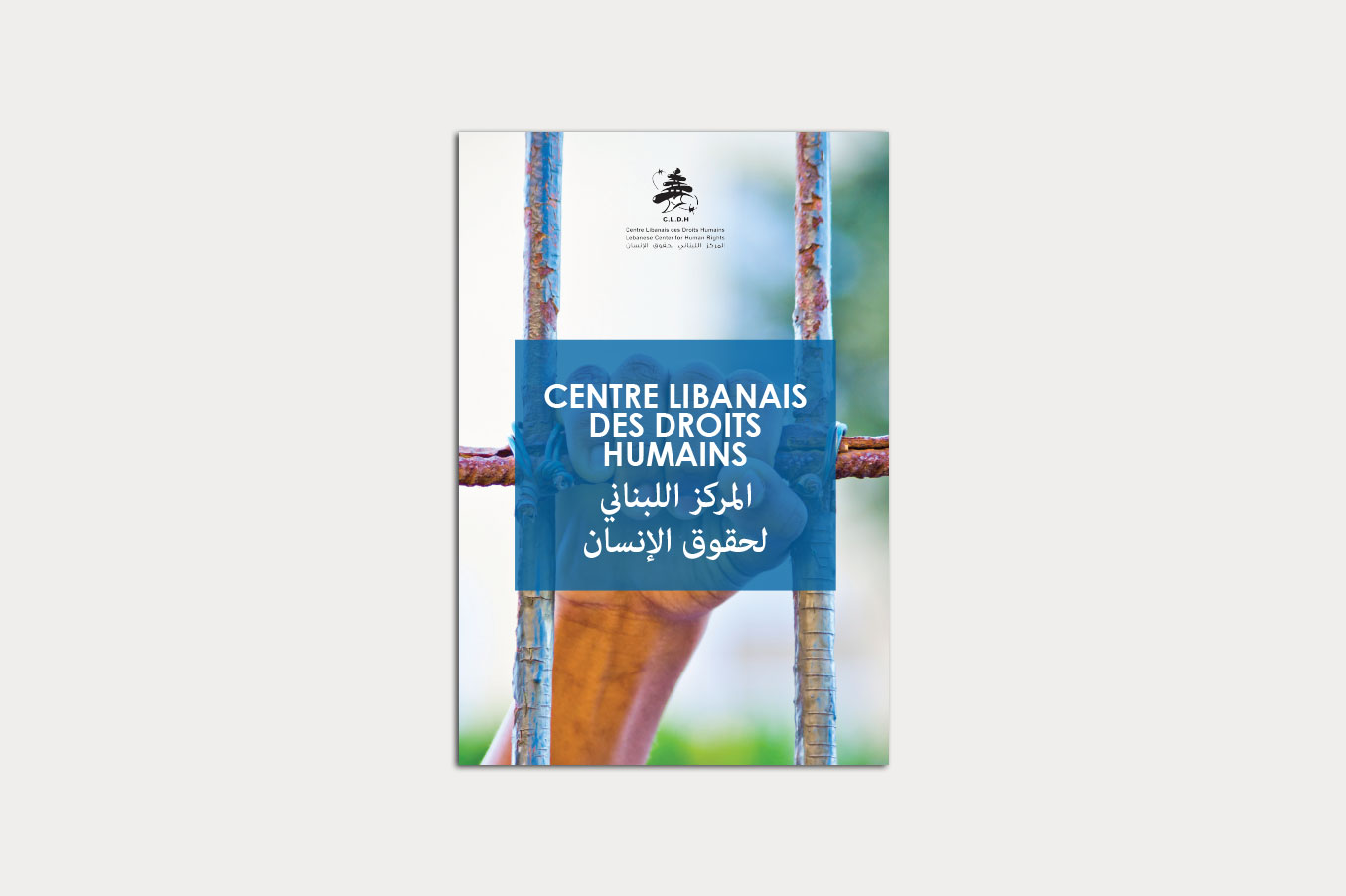 Lebanese Center for Human Rights (LCHR)